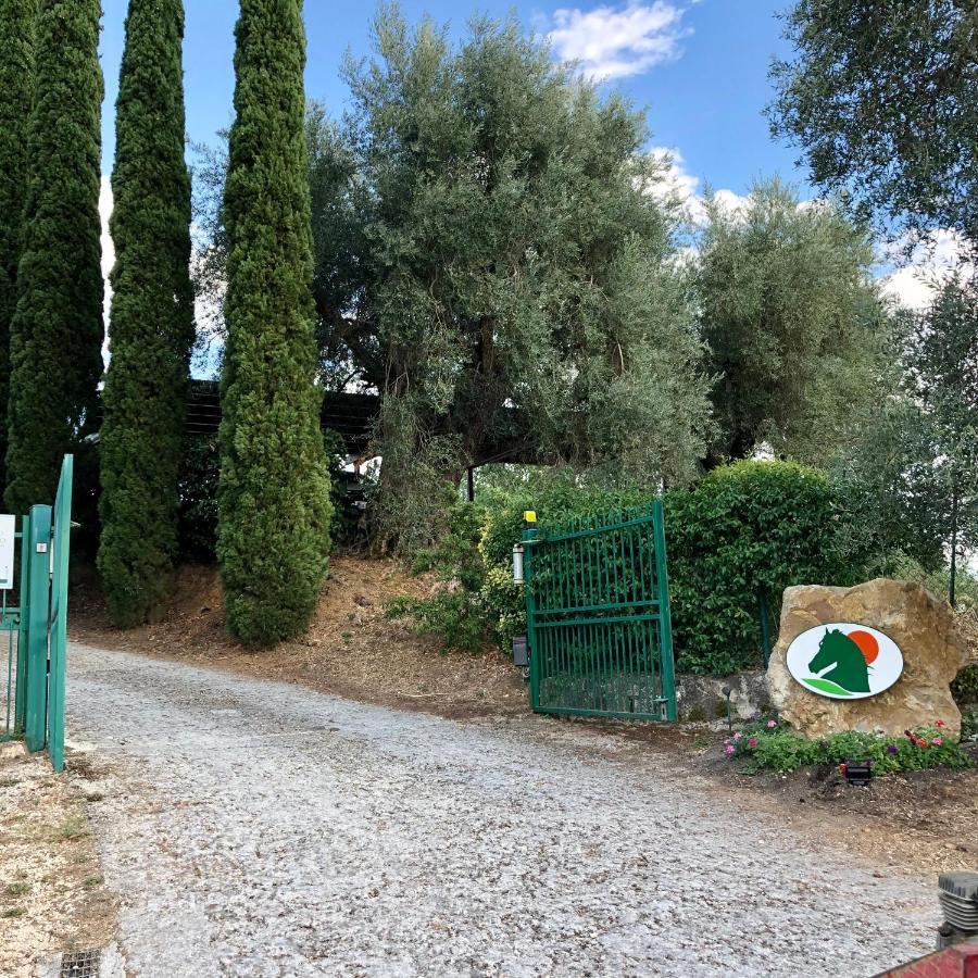 モンテメラノ Agriturismo Poggio Del Drago Bed & Breakfast エクステリア 写真