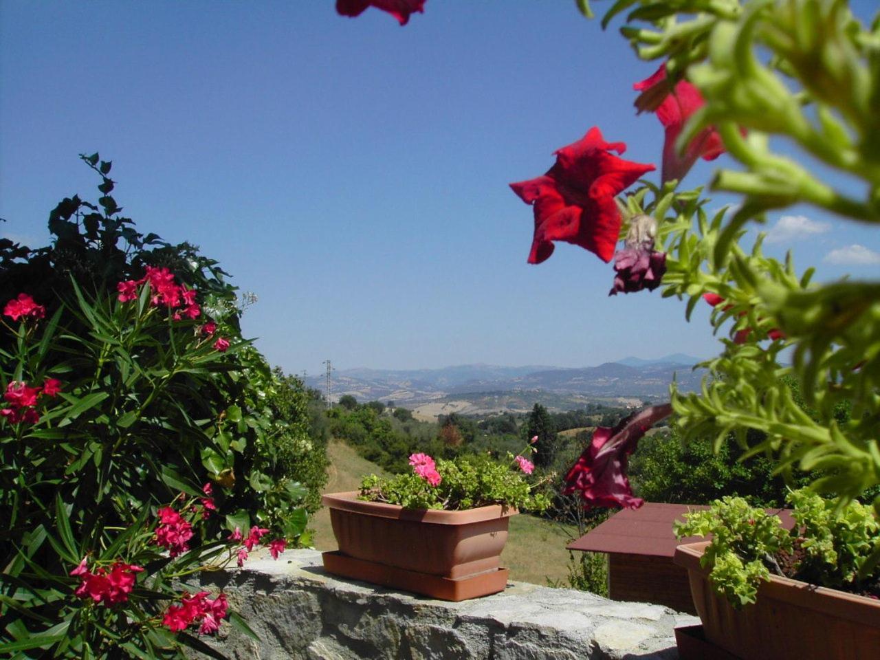 モンテメラノ Agriturismo Poggio Del Drago Bed & Breakfast エクステリア 写真