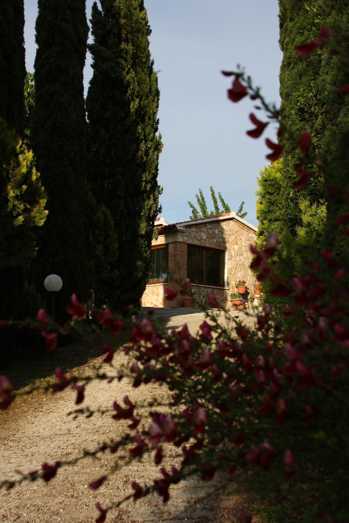 モンテメラノ Agriturismo Poggio Del Drago Bed & Breakfast エクステリア 写真