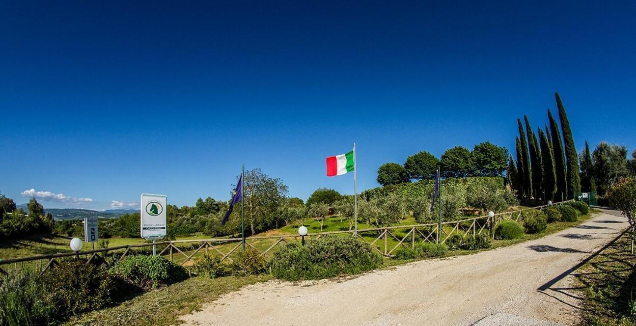 モンテメラノ Agriturismo Poggio Del Drago Bed & Breakfast エクステリア 写真